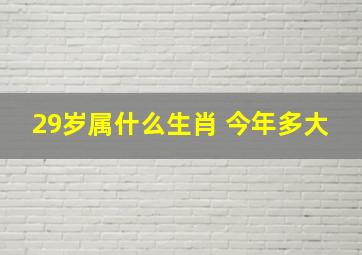 29岁属什么生肖 今年多大